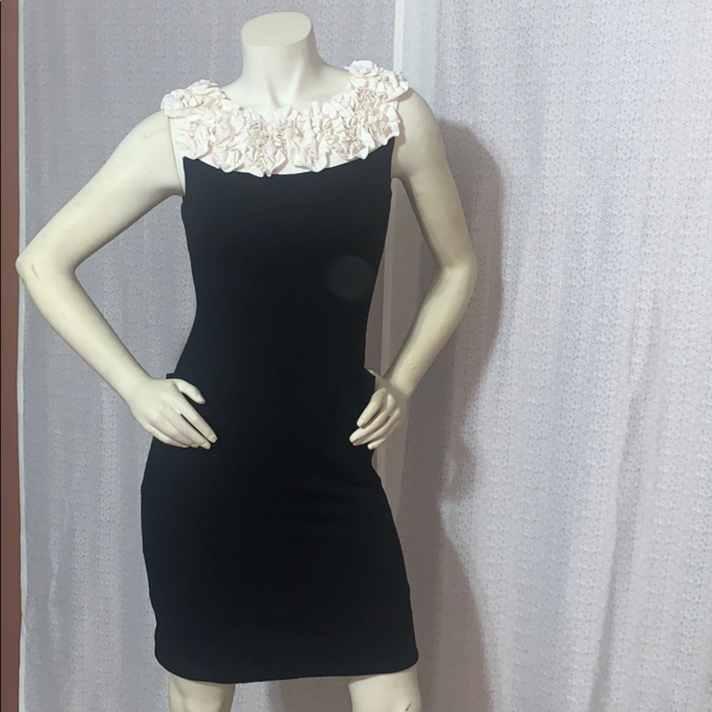 Taylor Dress